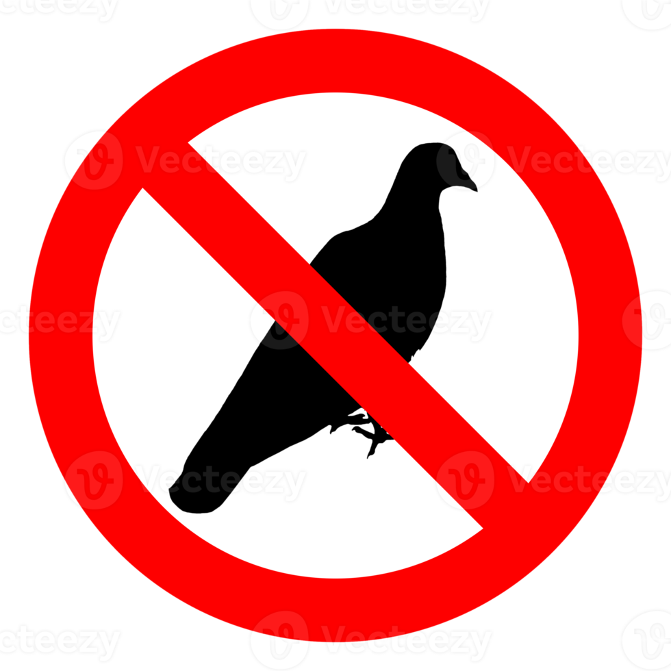 Control de Palomas